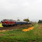 Herbstliche Bergstraße