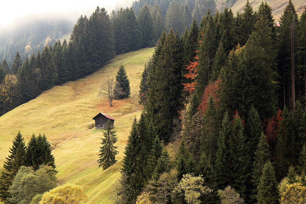 Herbstliche Bergweiden