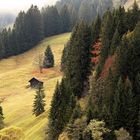 Herbstliche Bergweiden