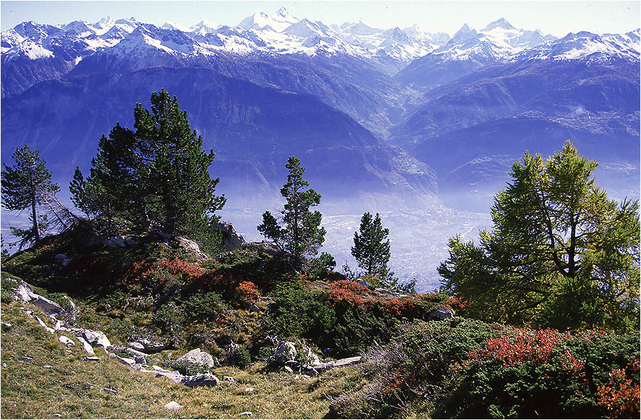 Herbstliche Bergwelt