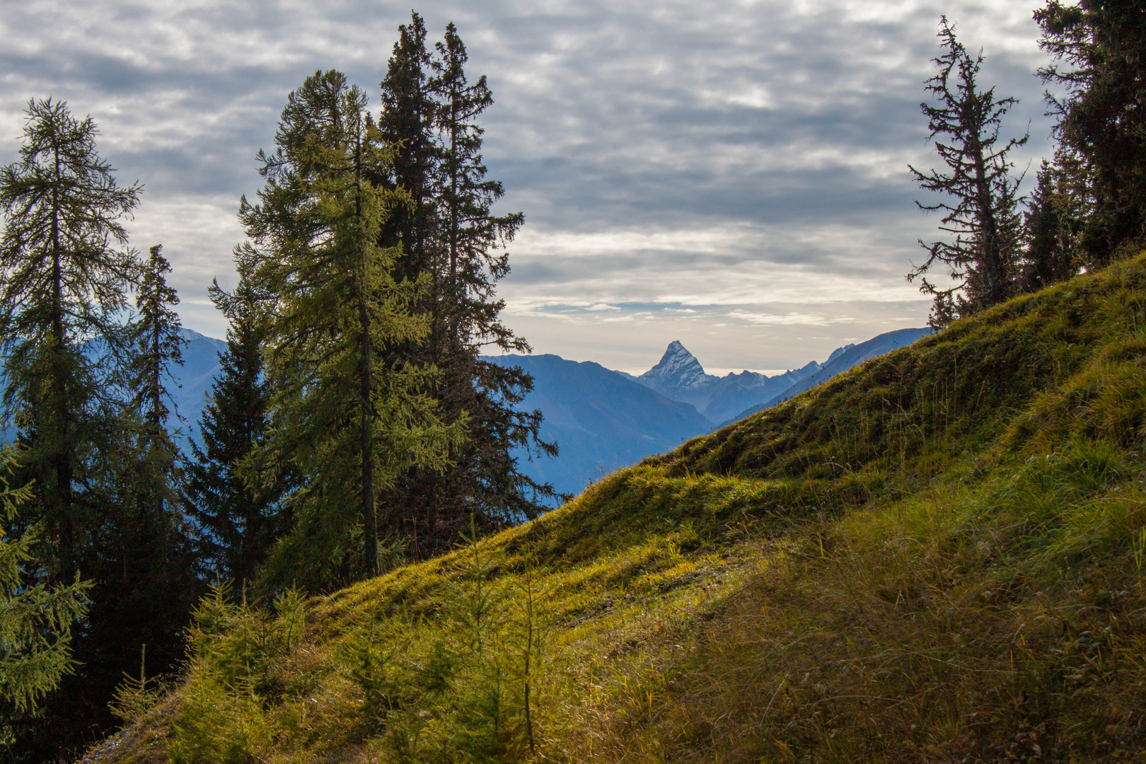 Herbstliche Bergwelt um Davos