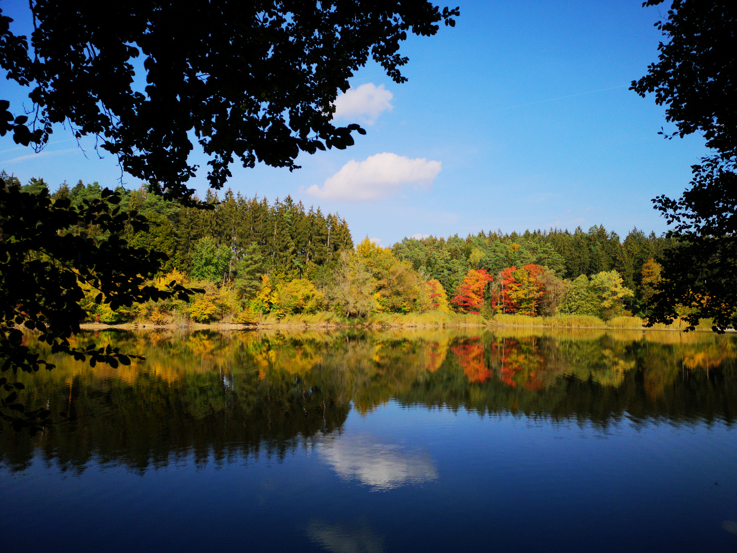 Herbstliche Bild Spiegelung im See