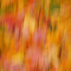  Herbstliche Blätterfarben 1