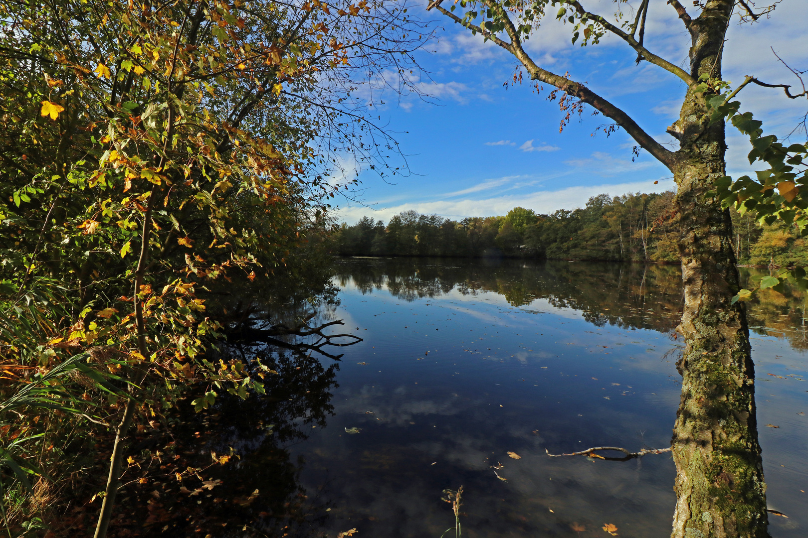 Herbstliche Bläue Foto & Bild landschaften, wasser, bäume Bilder auf