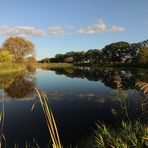 Herbstliche Bläue