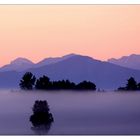 herbstliche Bodennebel..