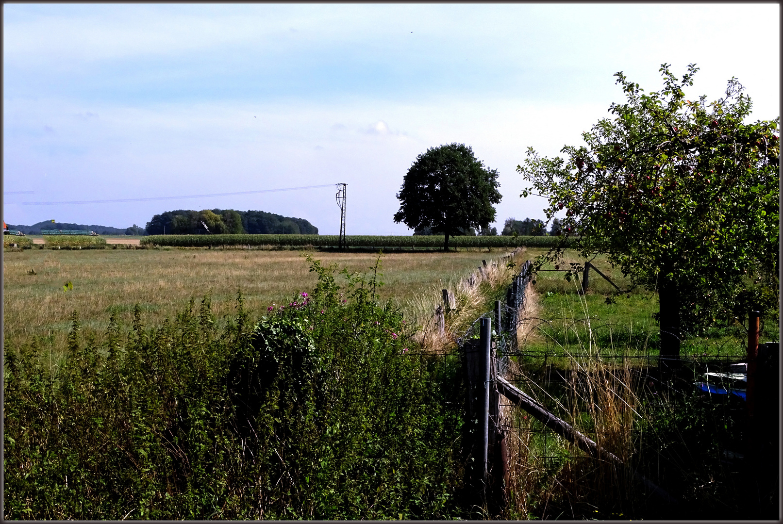 Herbstliche Börde