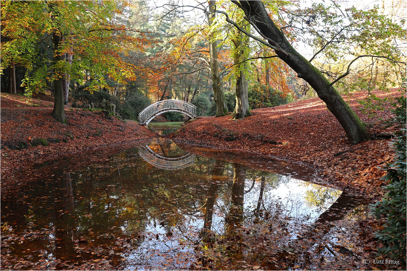 Herbstliche Brückenspiegelung