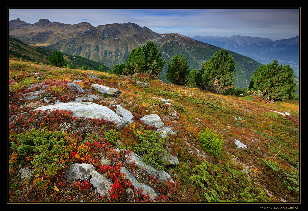 Herbstliche Crêt du Midi