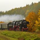 Herbstliche Dampflokfahrt