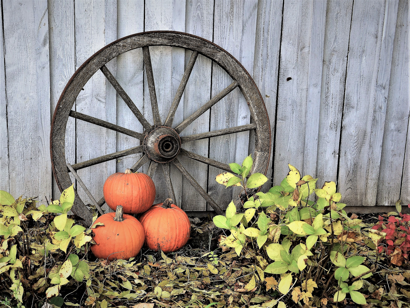 herbstliche Dekoration