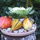 Herbstliche Dekoration in unserem Garten