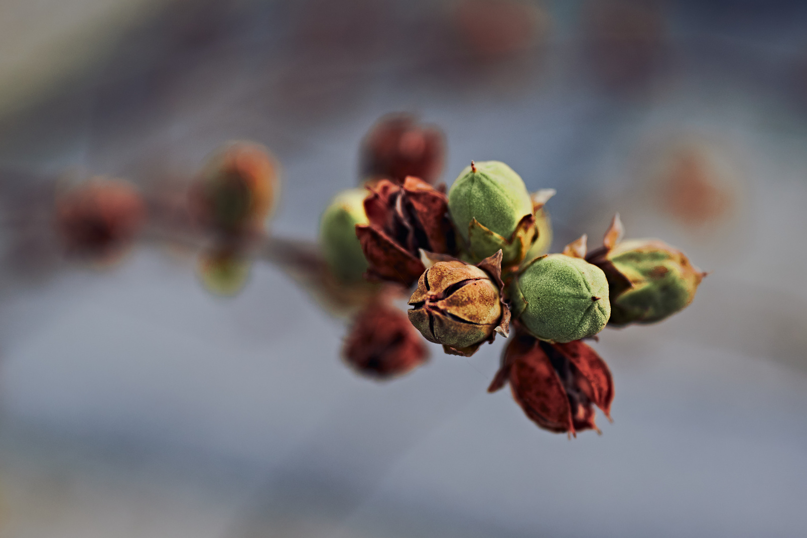 Herbstliche Details