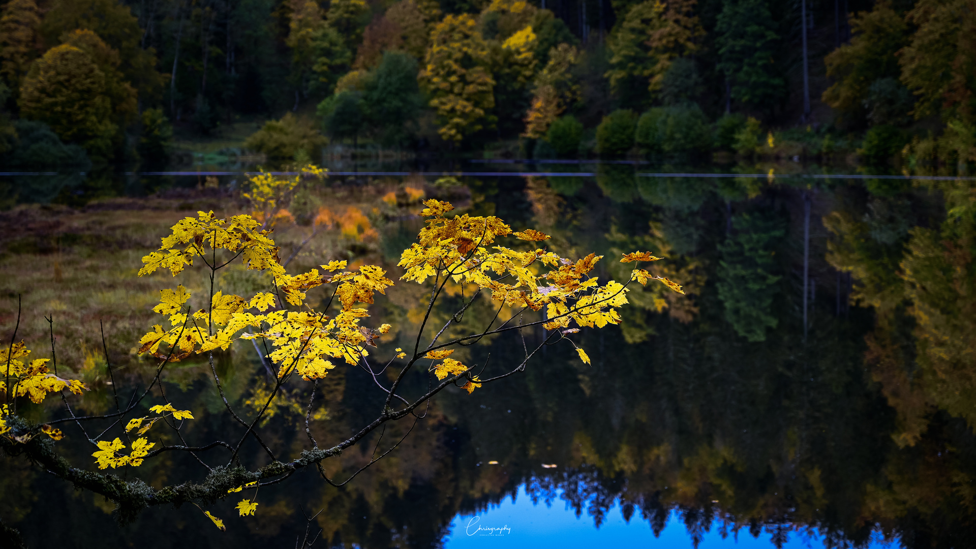 Herbstliche Details