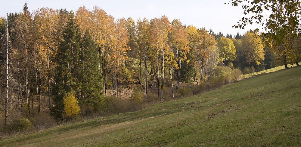 Herbstliche Diagonale