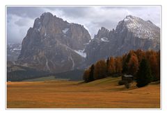 Herbstliche Dolomiten 6