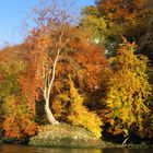 herbstliche Donauimpressionen (1)