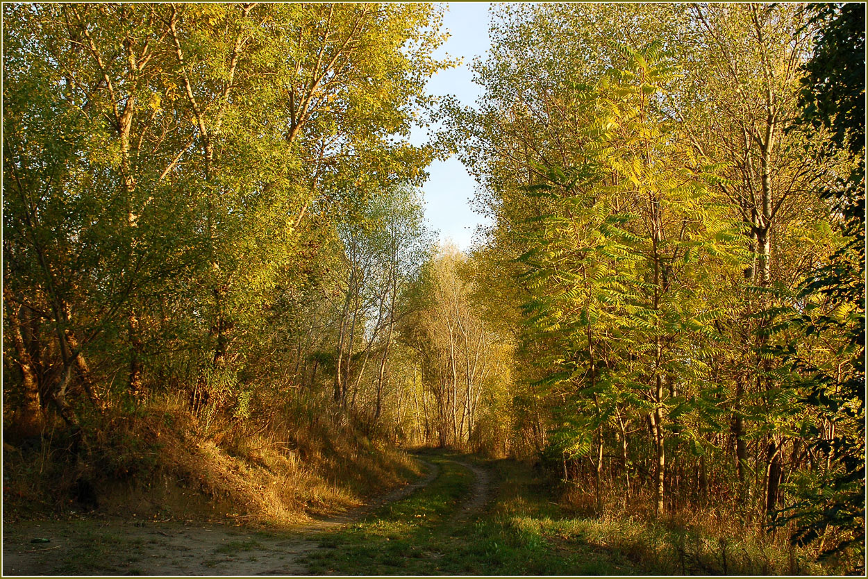 Herbstliche Donauinsel