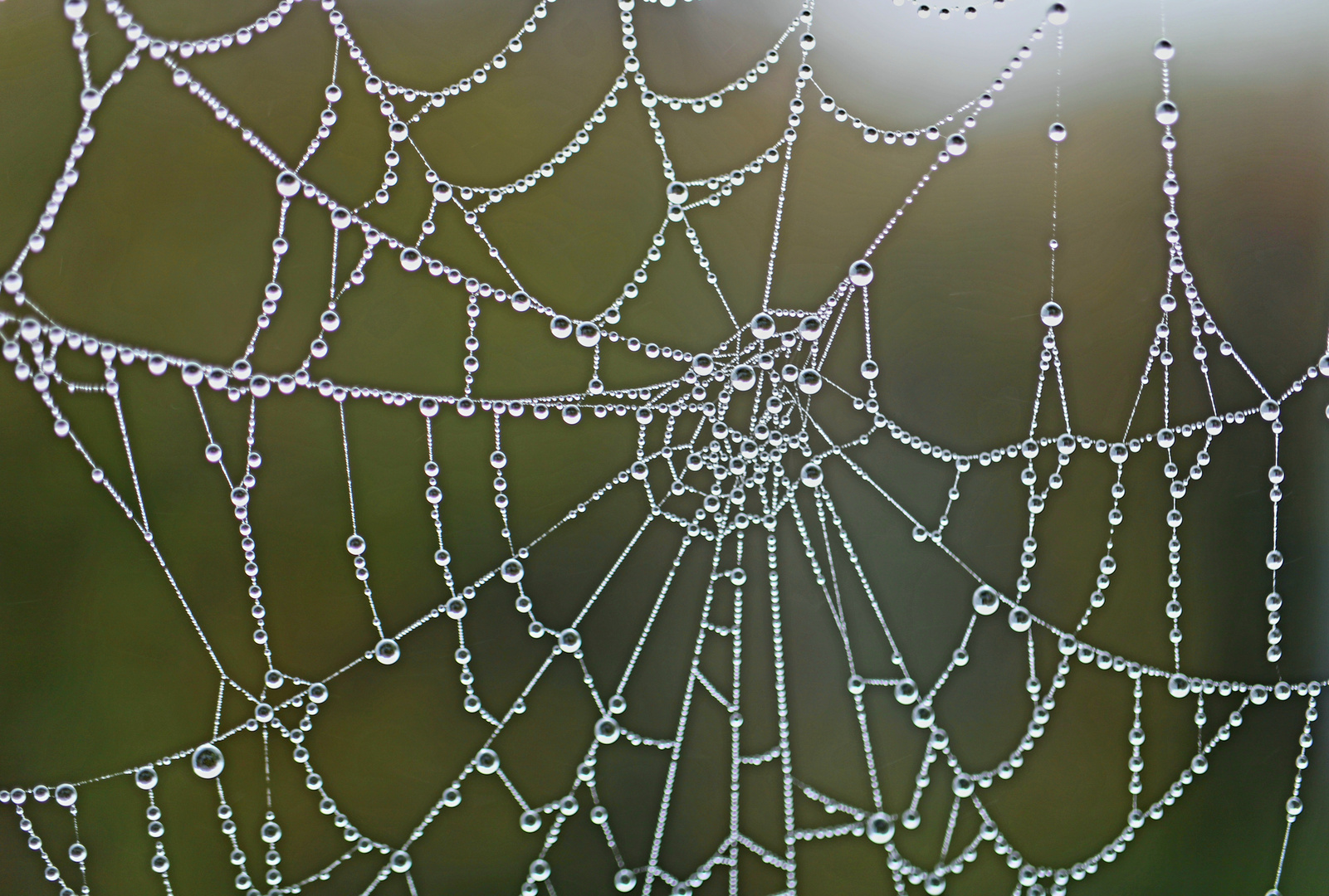 Herbstliche Durchblick 