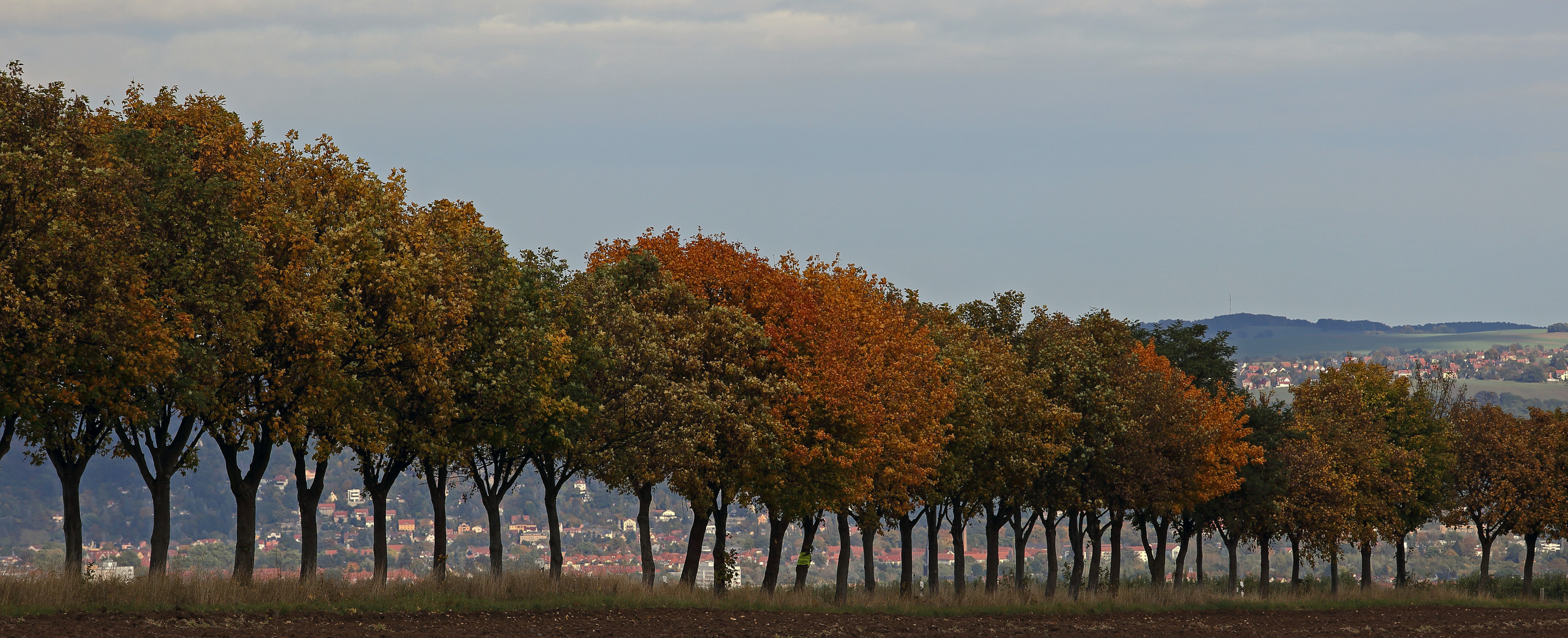 Herbstliche Durchblicke auf die andere, rechtselbische Seite...