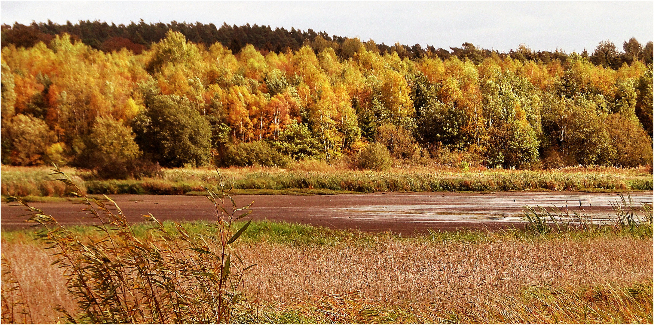 Herbstliche Eifel