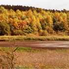 Herbstliche Eifel