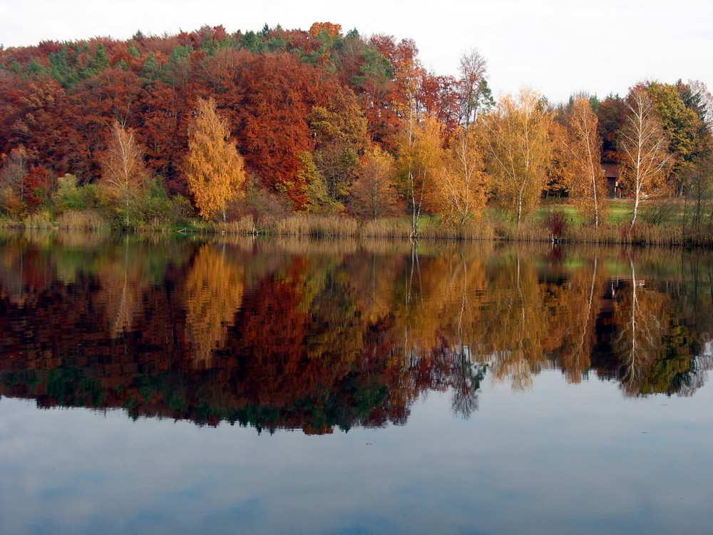 Herbstliche Eindrücke am Höllerersee