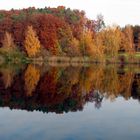 Herbstliche Eindrücke am Höllerersee