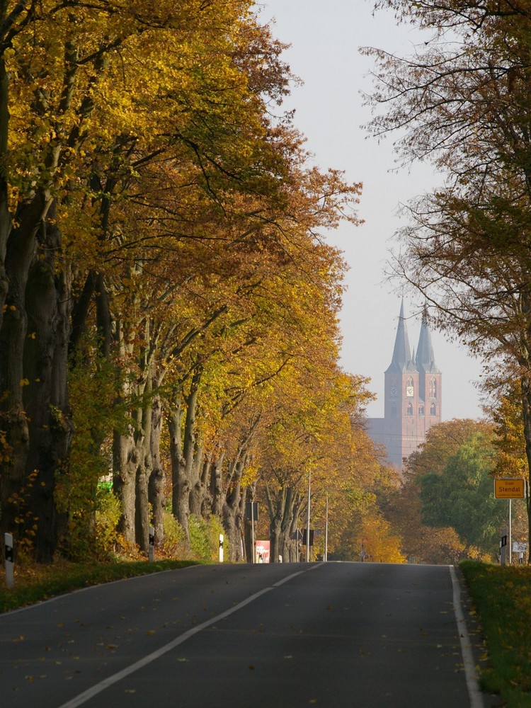 herbstliche Einfahrt nach Stendal