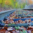 Herbstliche Eisenbahn