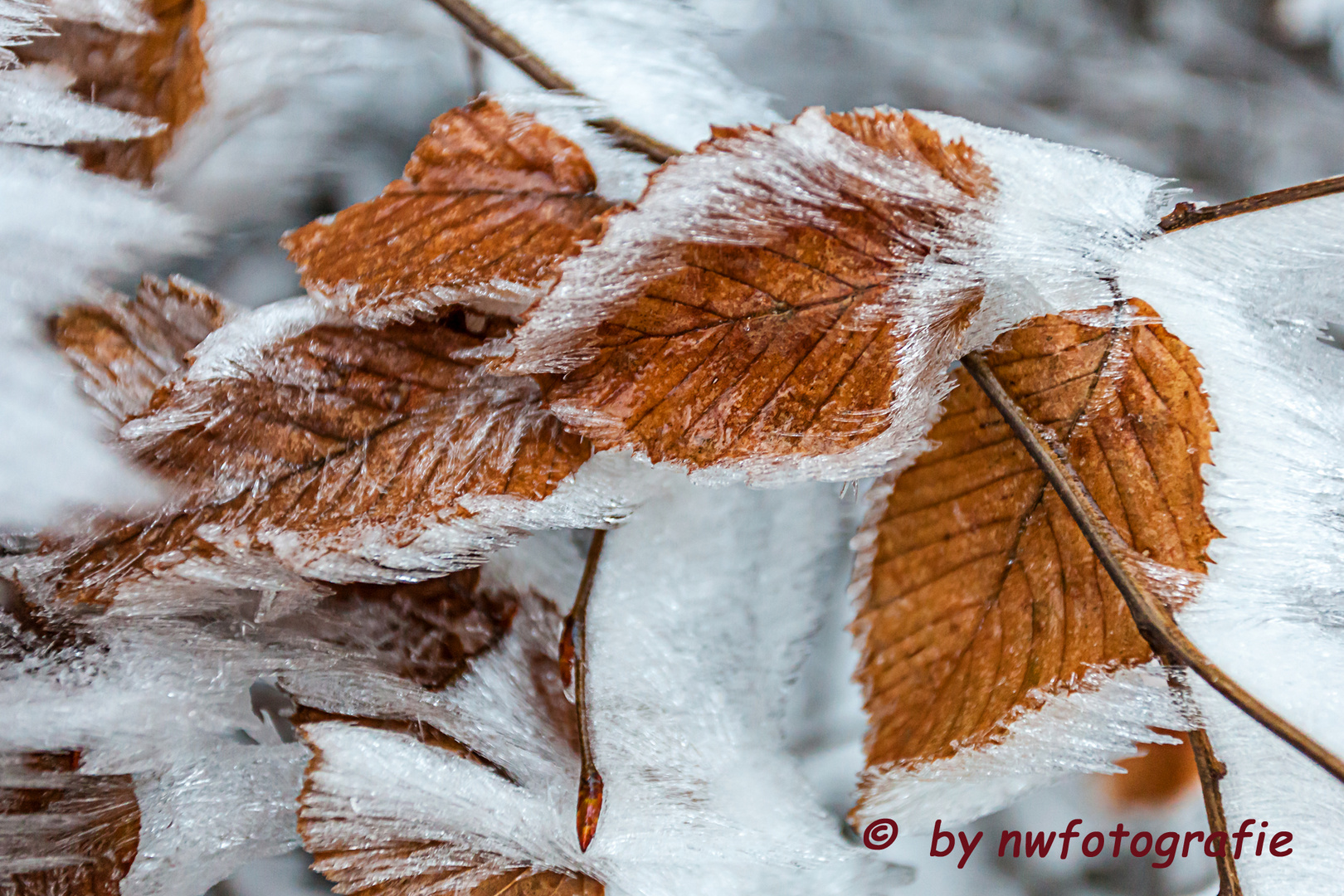 herbstliche Eiszeit