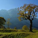 Herbstliche Engalm