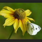 Herbstliche Erinnerung