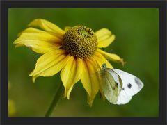 Herbstliche Erinnerung