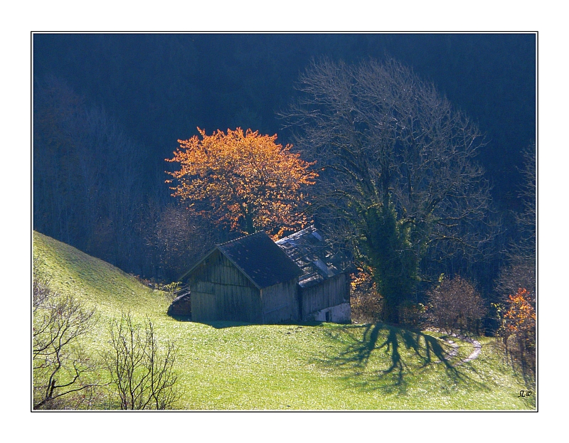 herbstliche Erinnerung