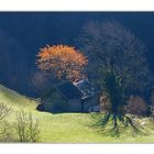 herbstliche Erinnerung