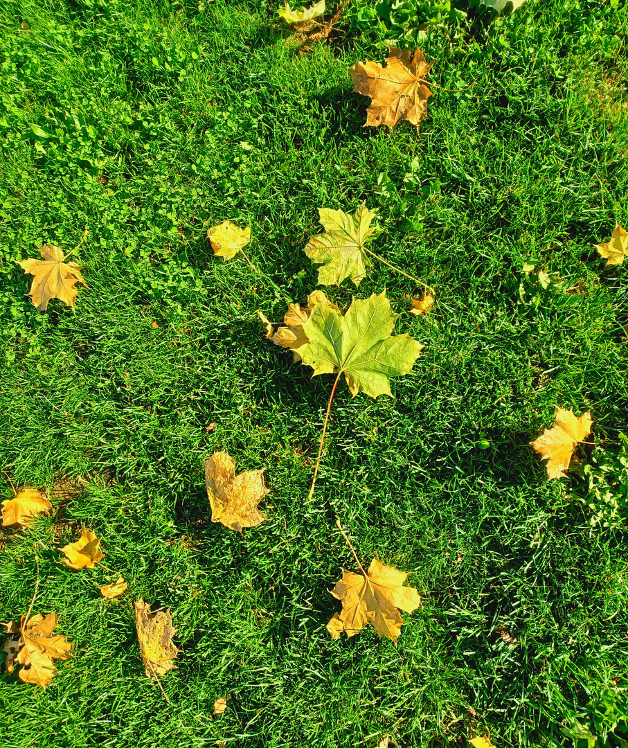 Herbstliche Erinnerungen 