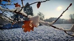 Herbstliche Erinnerungen im Schneekleid