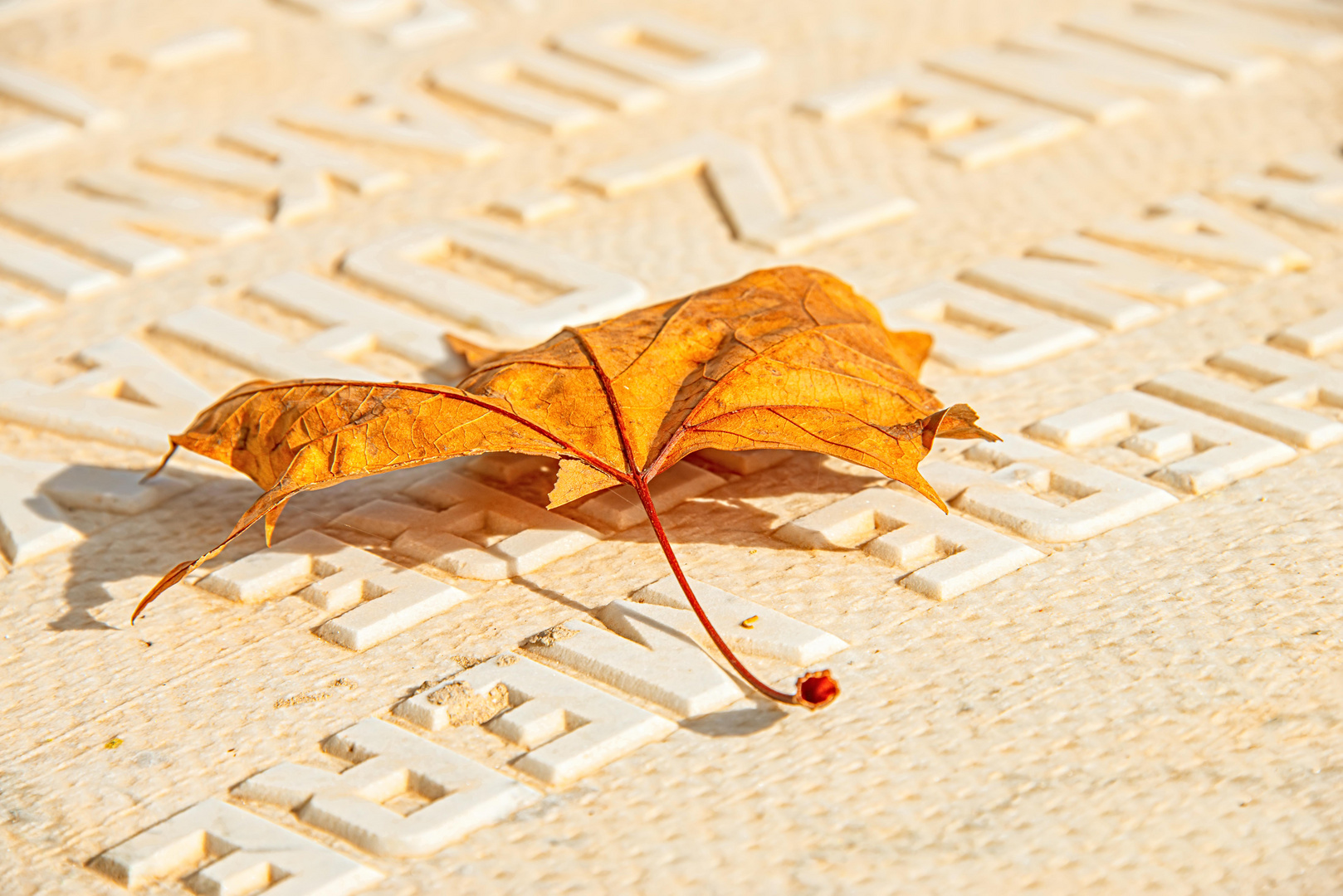 Herbstliche Erinnerungen (MAC_0825)