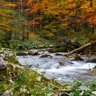 Herbstliche Erlauf