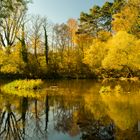 Herbstliche Erlauf