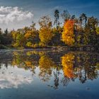 Herbstliche Familienaufstellung