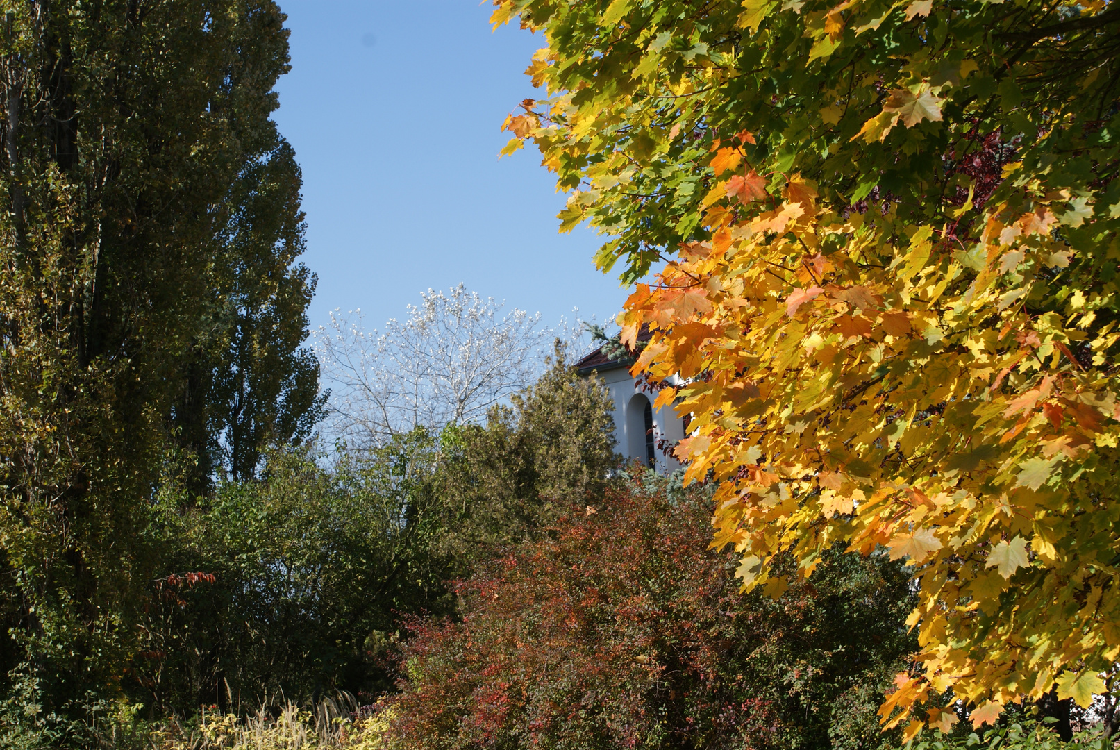 Herbstliche Farben