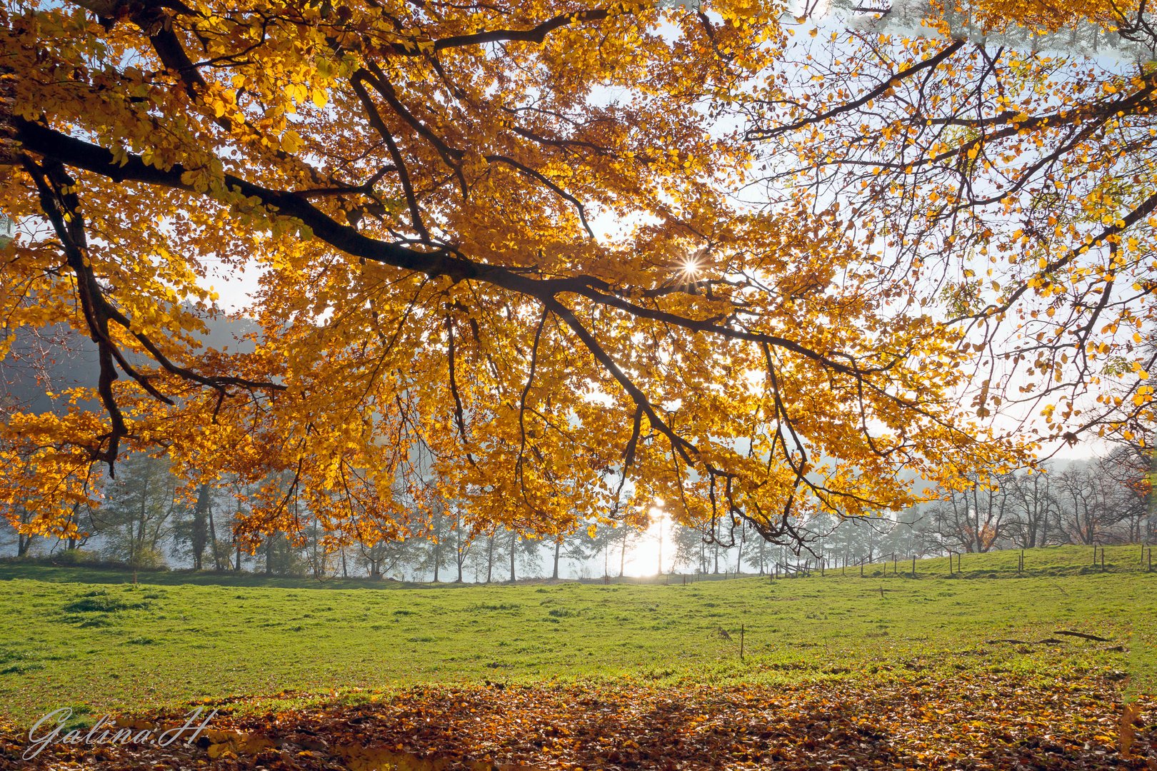 Herbstliche Farben