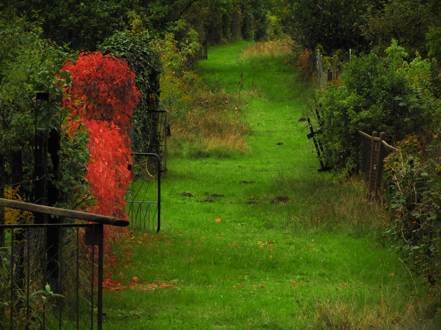 Herbstliche Farben 