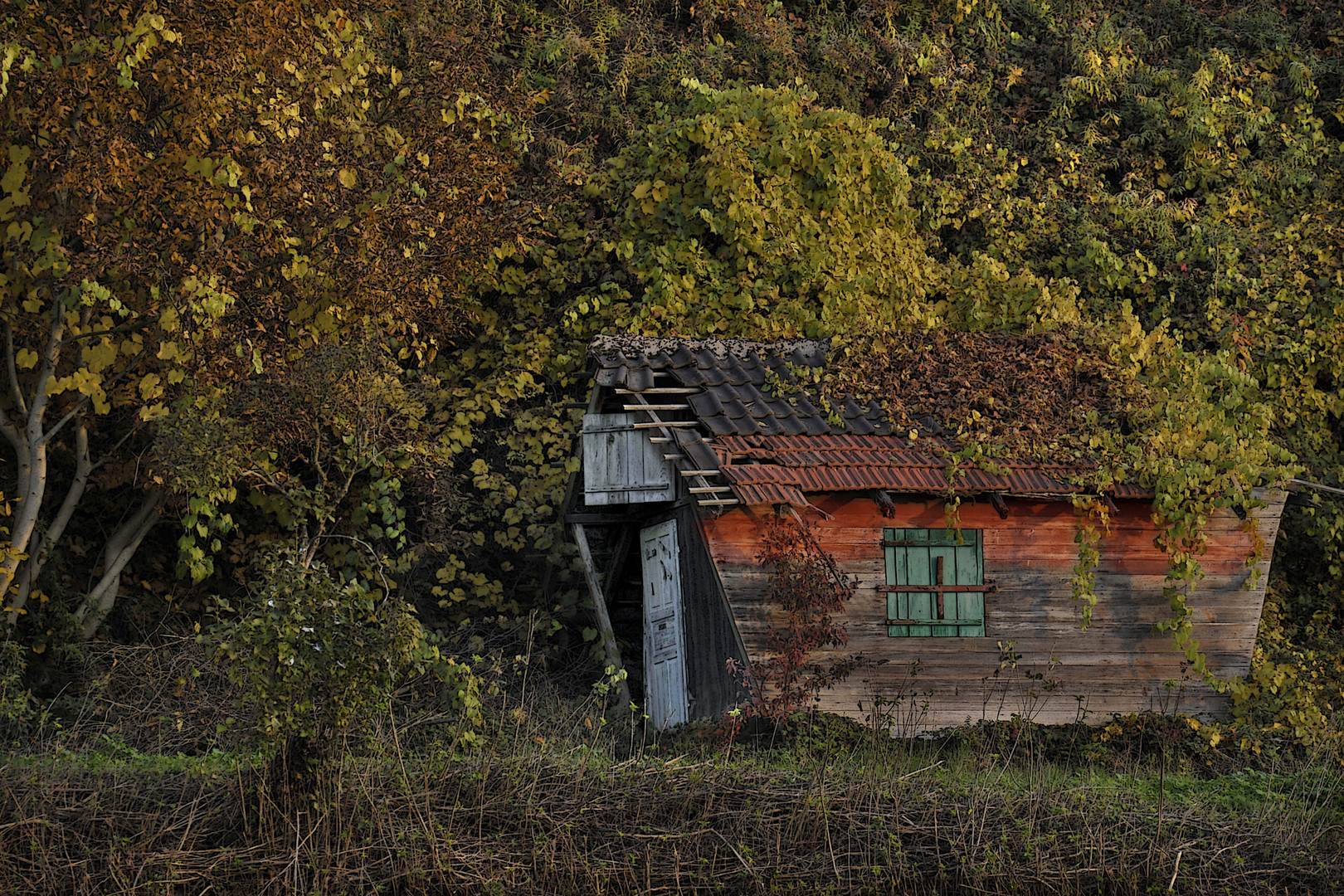 Herbstliche Farben