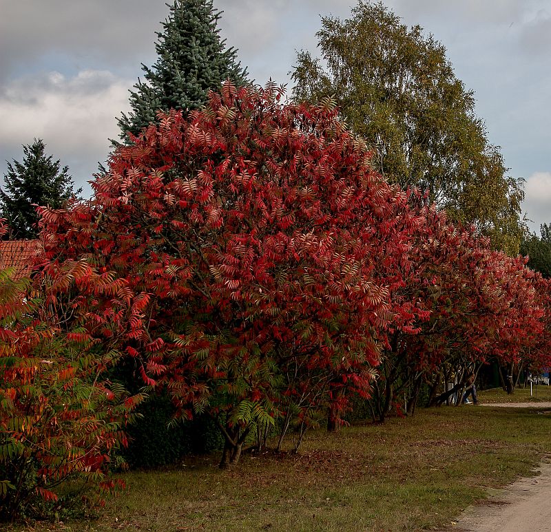 herbstliche Farben