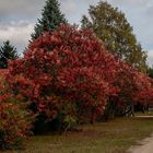 herbstliche Farben