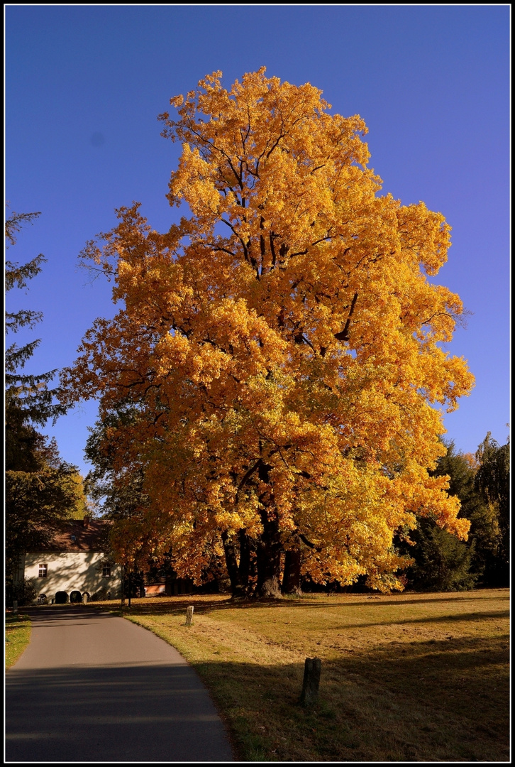 Herbstliche Farben