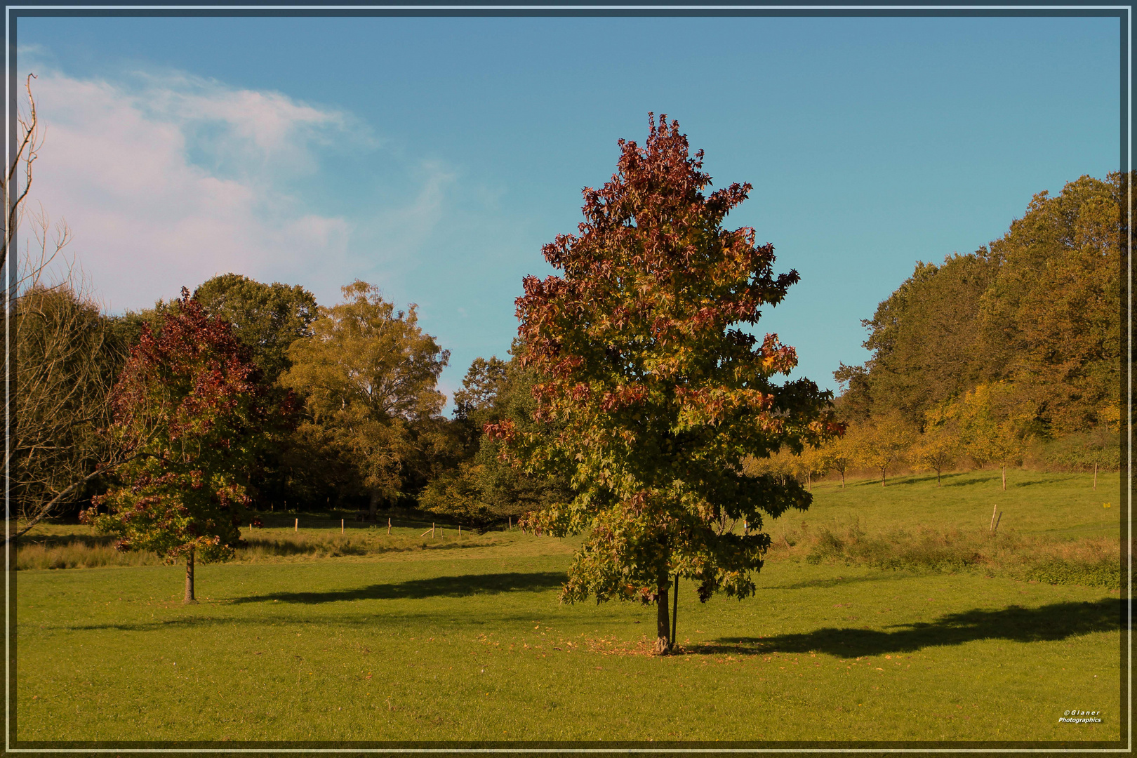 Herbstliche Farben